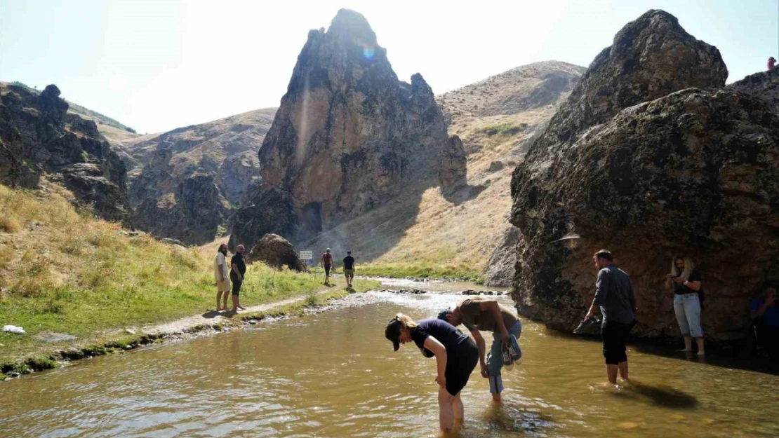 'Babamın Damadı' filminin oyuncu kadrosu netleşti: Muş'ta romantik komedi rüzgarı