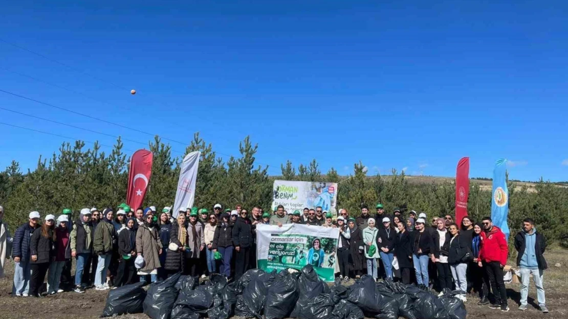 'Orman Benim' diyerek kolları sıvadılar