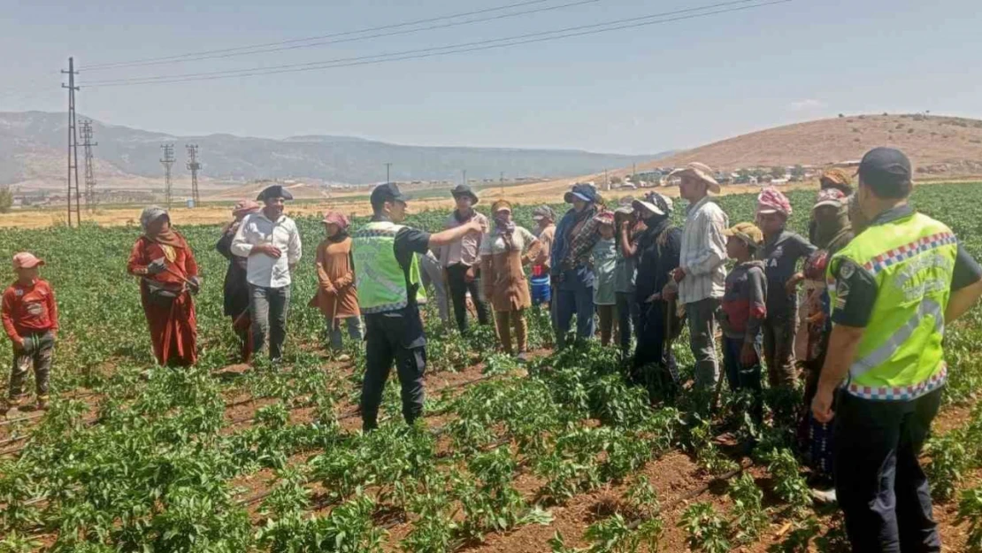 357 mevsimlik tarım işçisine jandarmadan eğitim