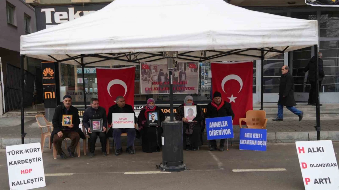 Acılı anne: 'Yeni yıla girdik ama ciğerimiz yanık, evlatlarımız yok'