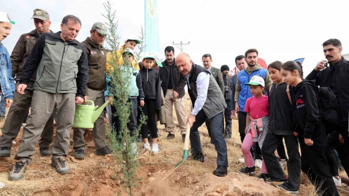 Adıyaman'da 11 bin fidan toprakla buluştu