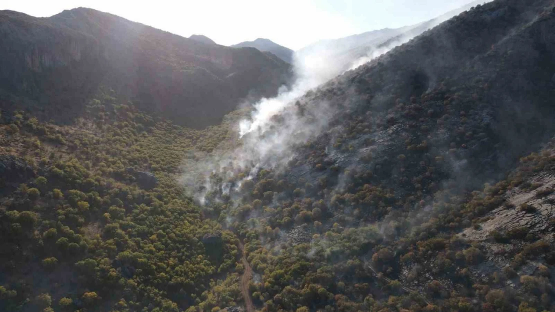 Adıyaman'da 2 gündür süren orman yangını devam ediyor