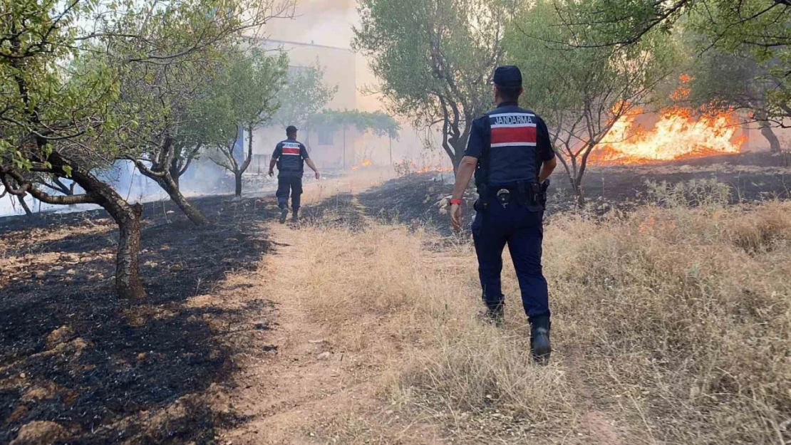 Adıyaman'da örtü yangını ormanlık alana sıçradı