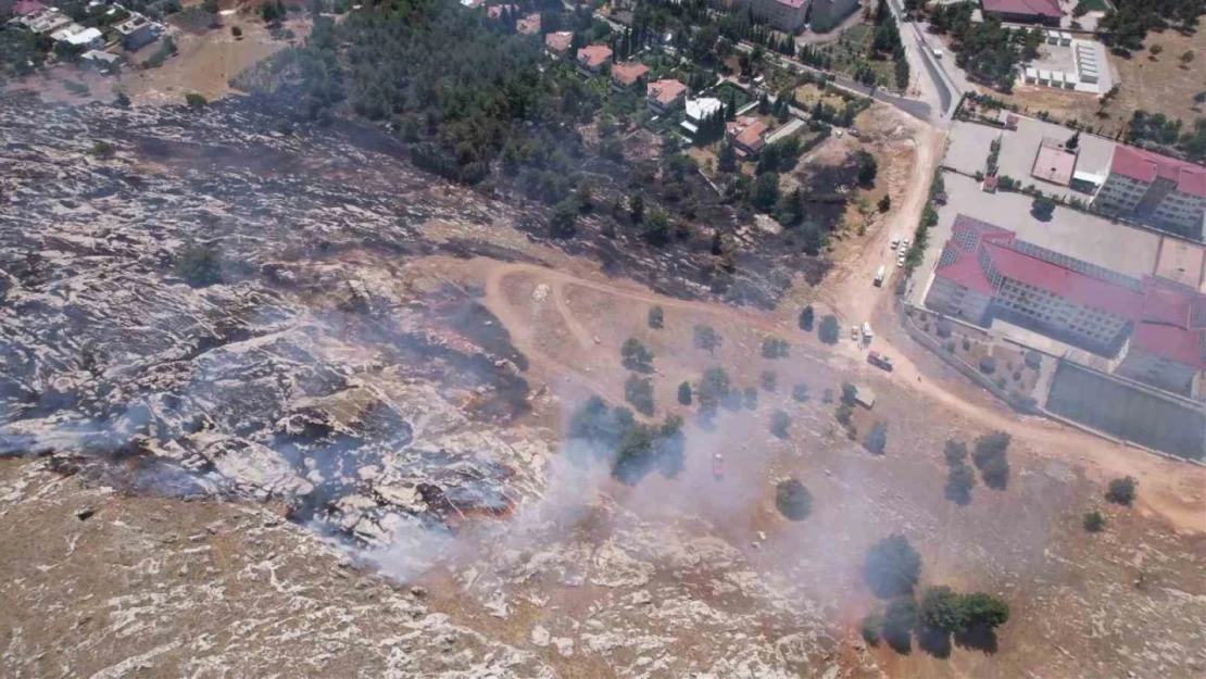 Adıyaman'da örtü yangınında meyve ağaçları zarar gördü