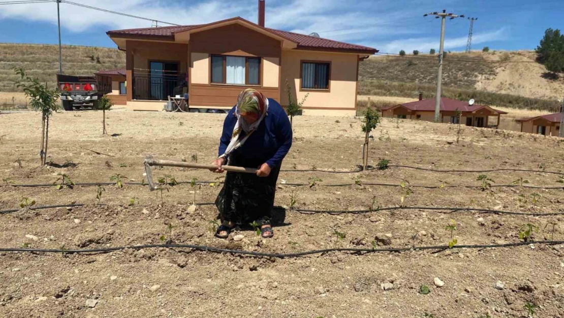 Adıyaman'da teslim edilen köy evleri yuva oluyor