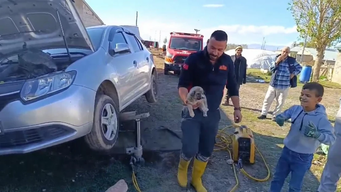 Ağrı'da araçta sıkışan yavru köpeği itfaiye ekibi kurtardı