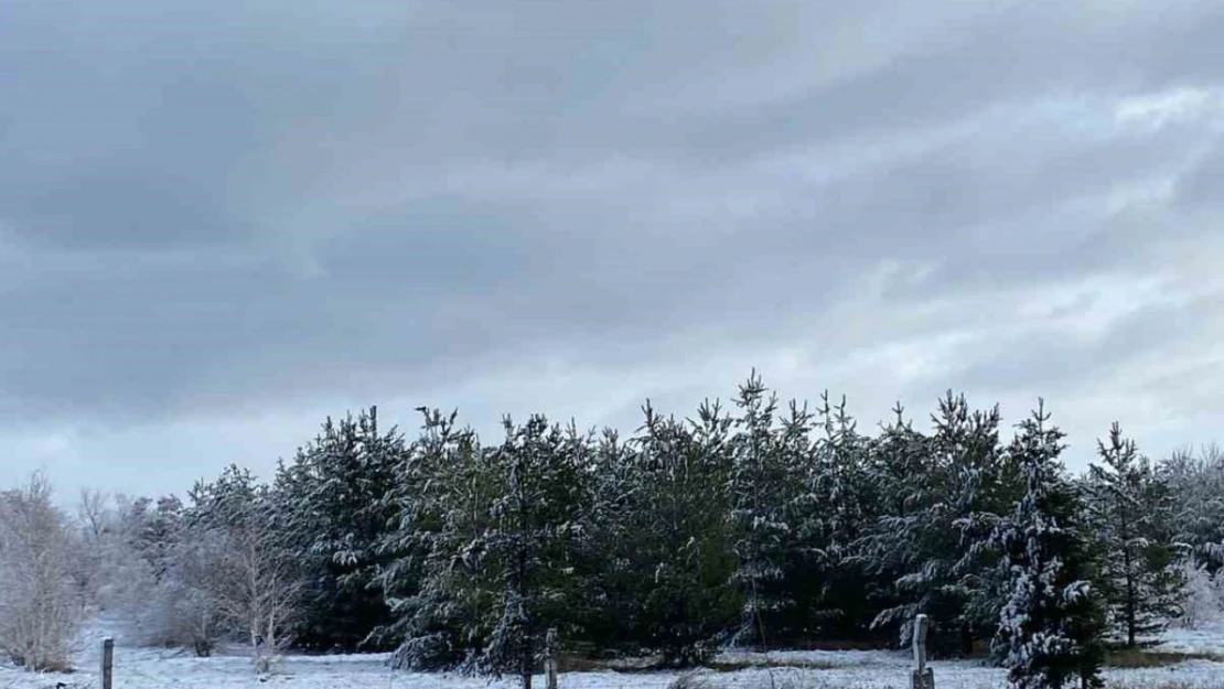 Ağrı'da kar tatili