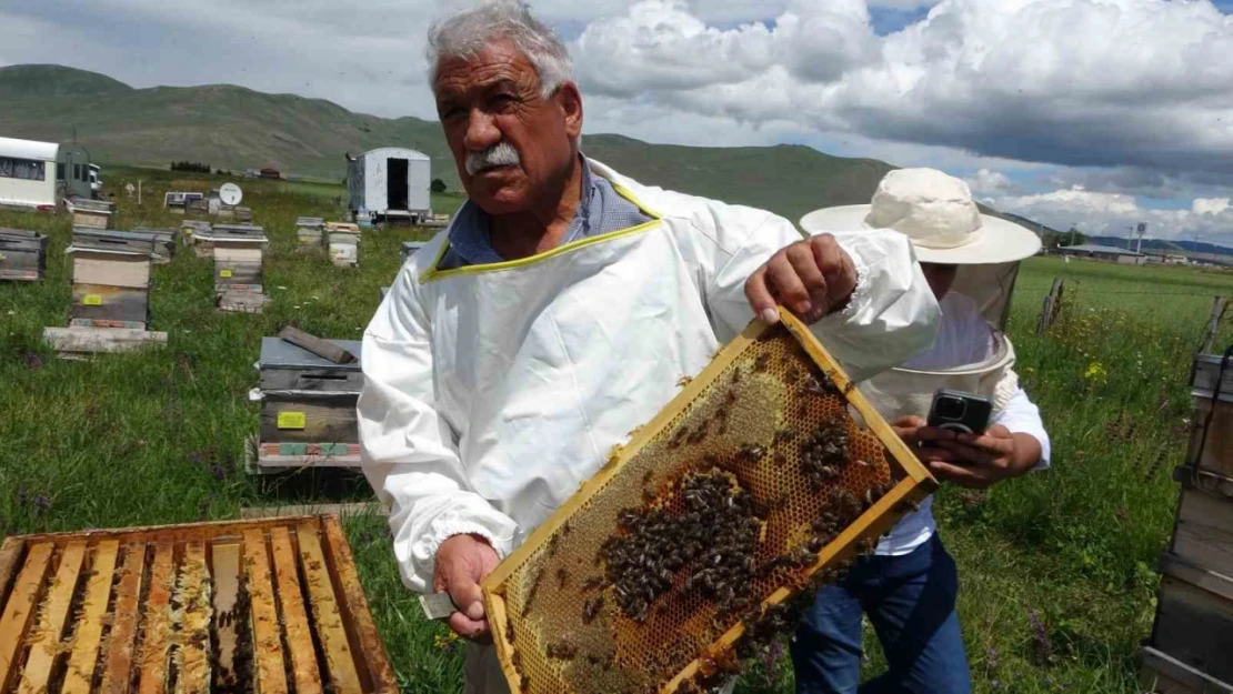 Ardahan Arıcılar Birliği'nden tüketicilere ucuz bal uyarısı