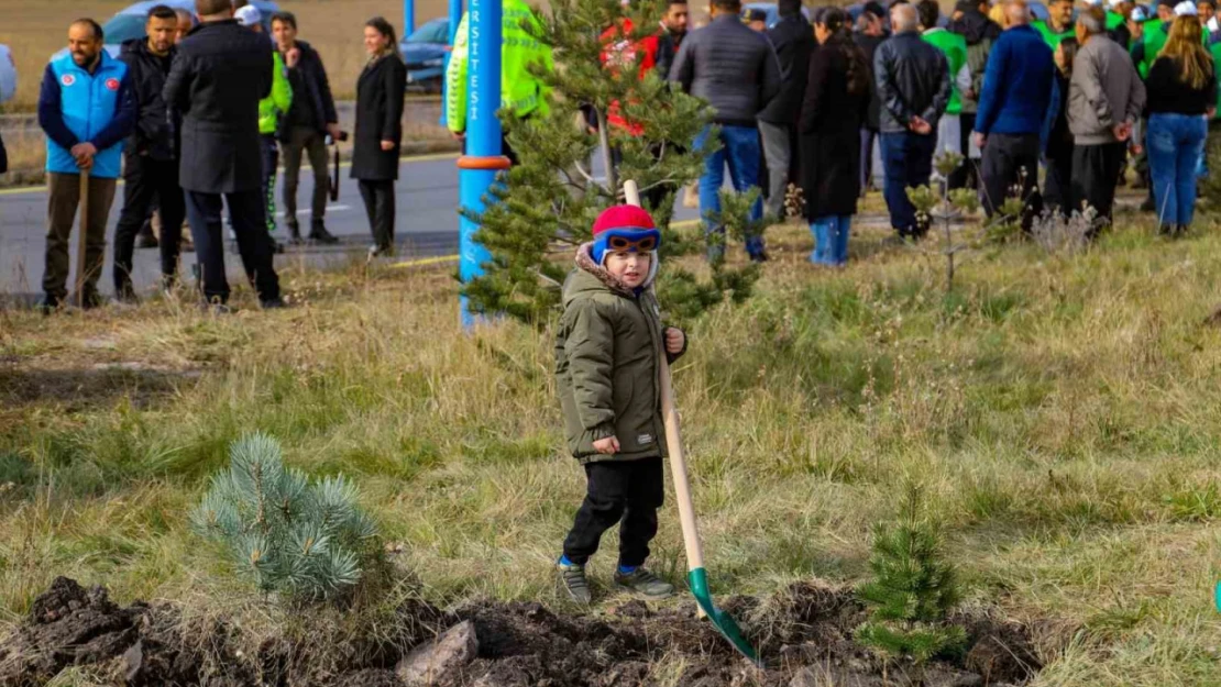 Ardahan'da 500 adet fidan toprakla buluştu