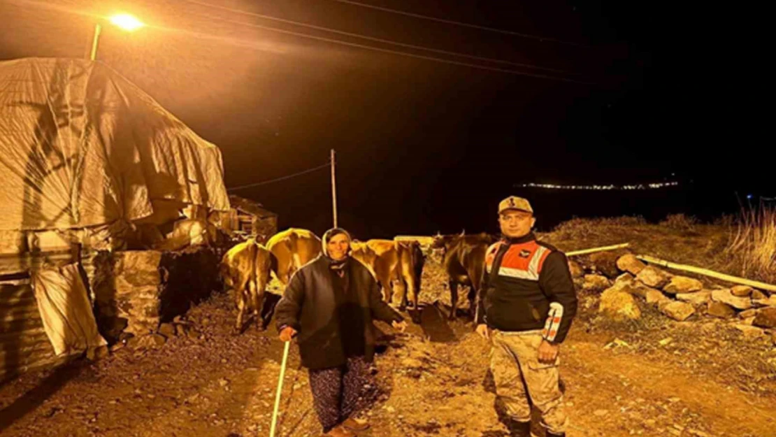 Ardahan'da kaybolan hayvanlar bulunup sahibine teslim edildi