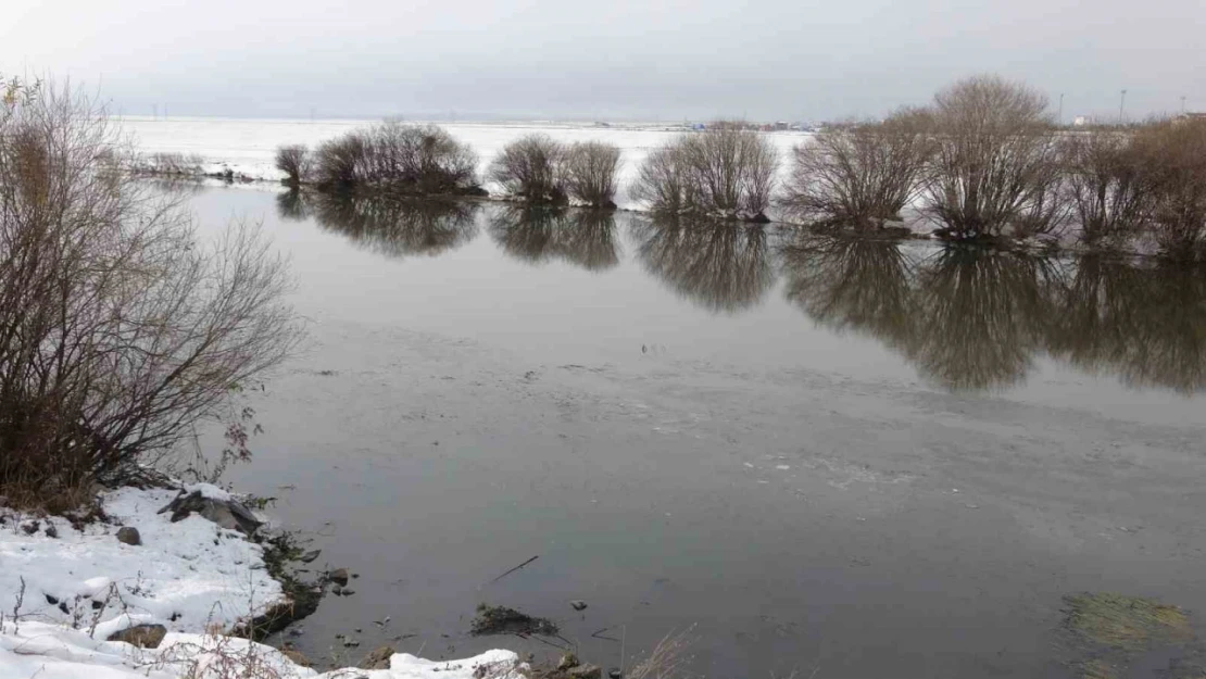 Ardahan'da Kura Nehri'nin yüzeyi kısmen dondu