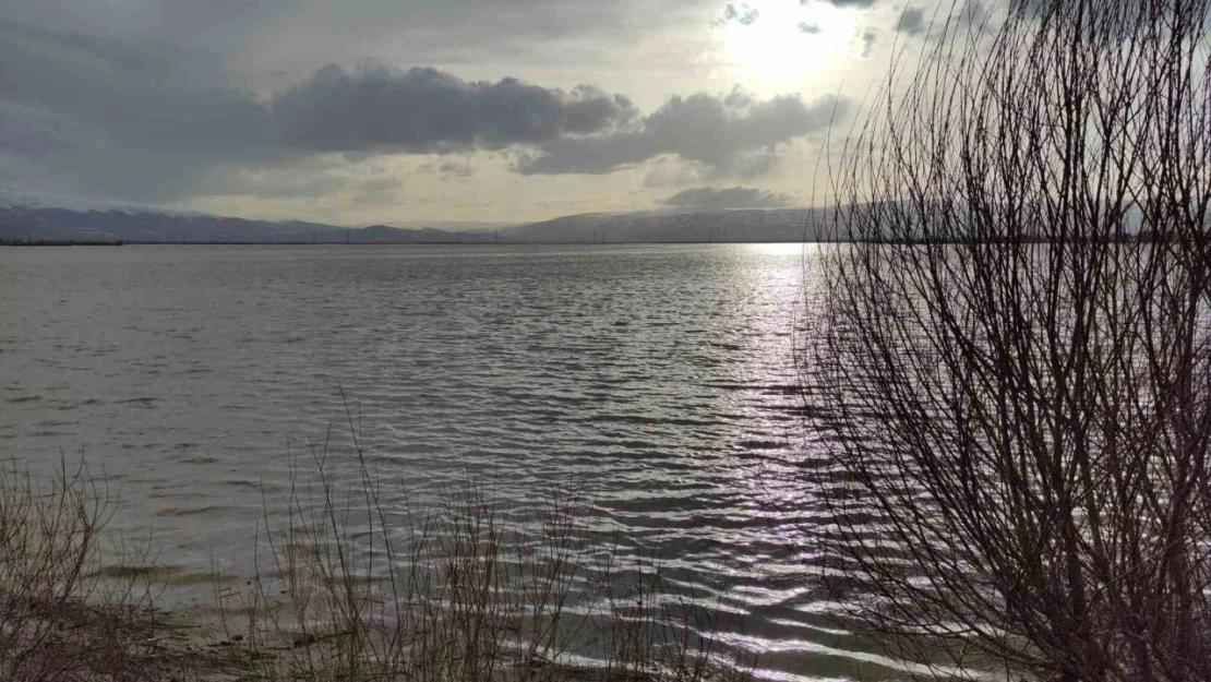 Ardahan'da Kura Nehri taştı, sahilleri aratmayan görüntüler ortaya çıktı