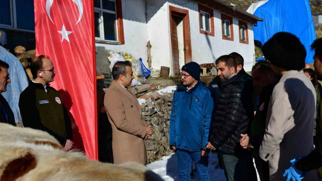 Aşılama ile buzağı ölümlerinin azalması hedefleniyor