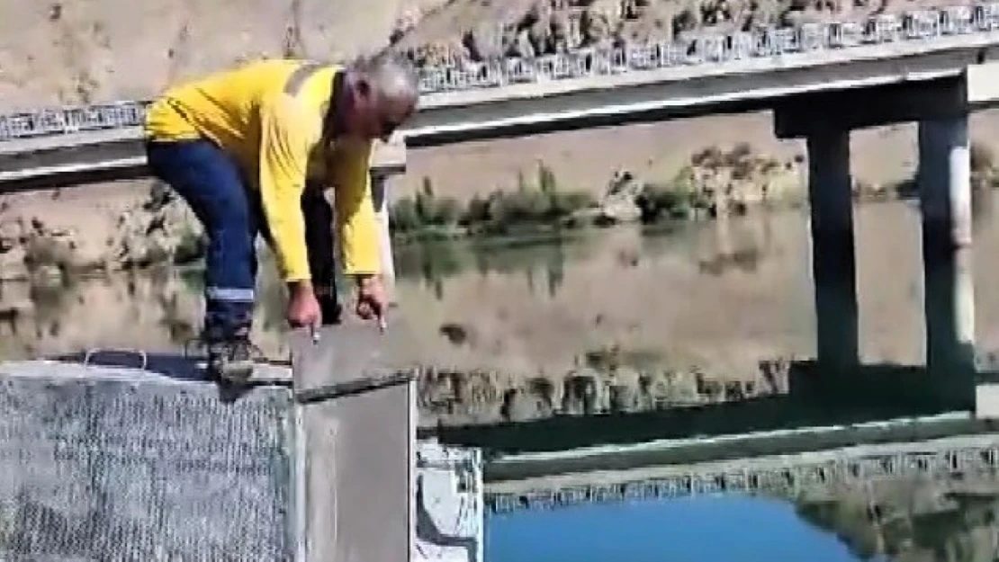 Balıklara zarar veren su samuru önce yakalandı sonra doğaya salındı