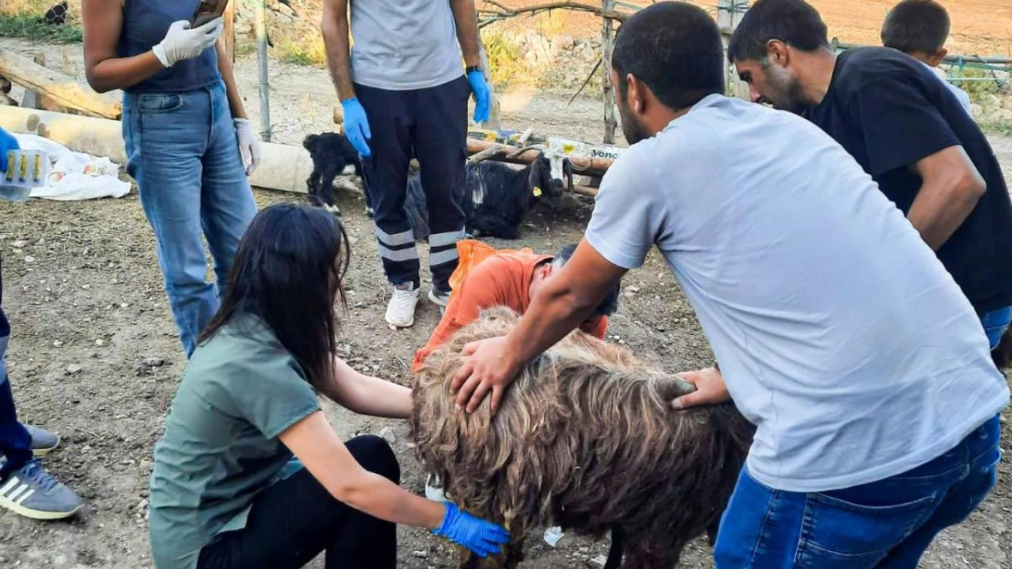 Belediyeden Mardin ve Diyarbakır'a veteriner ve itfaiye desteği