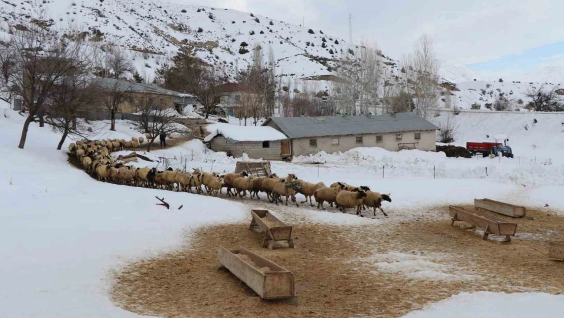 Besicilerin kış mesaisi başladı