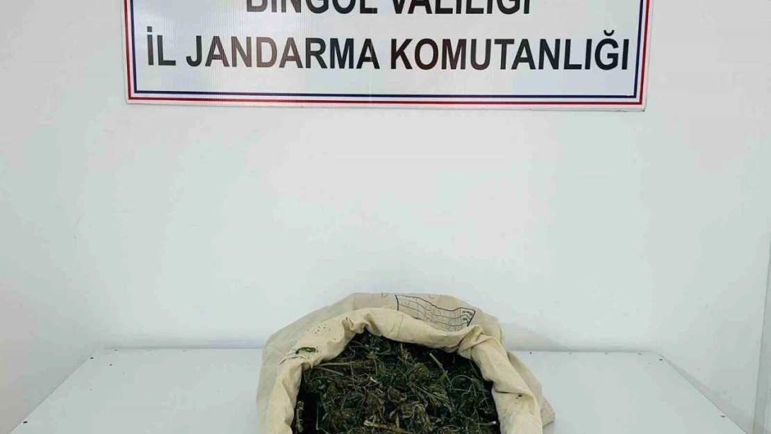 Bingöl'de 1 kilo 975 gram esrar ele geçirildi