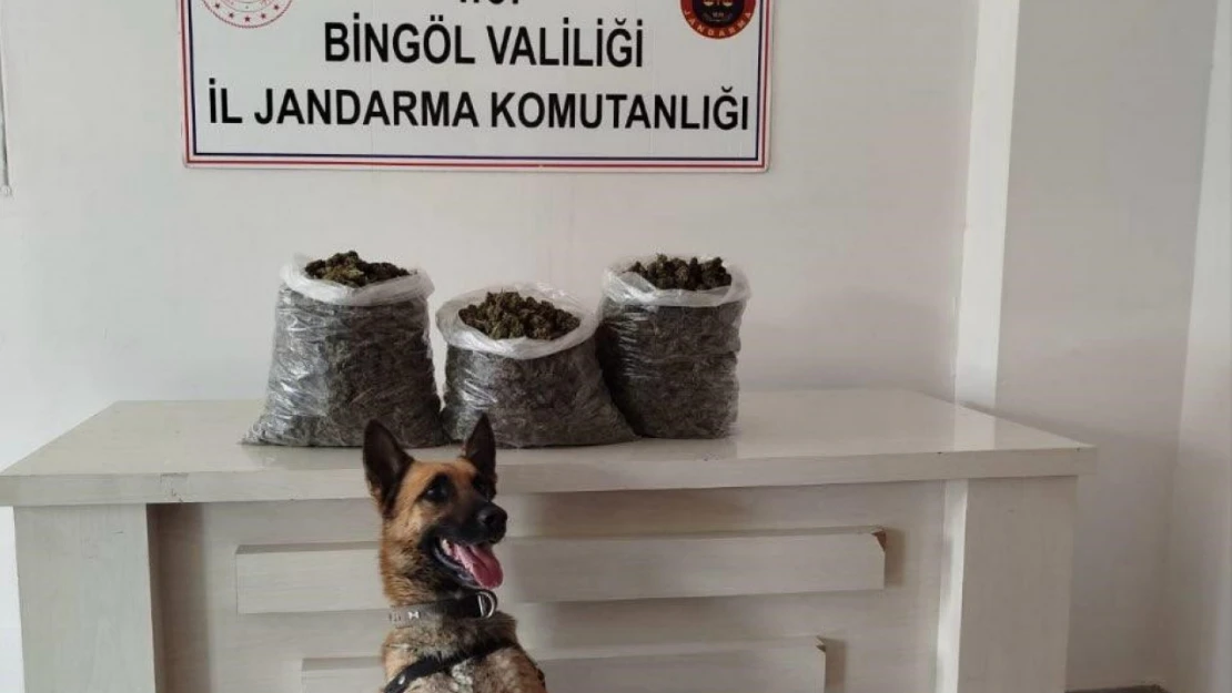 Bingöl'de 4,5 kilo esrar ele geçirildi