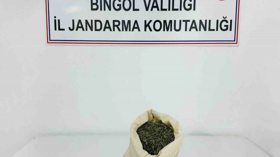 Bingöl'de aranan 2 şahıs yakalandı