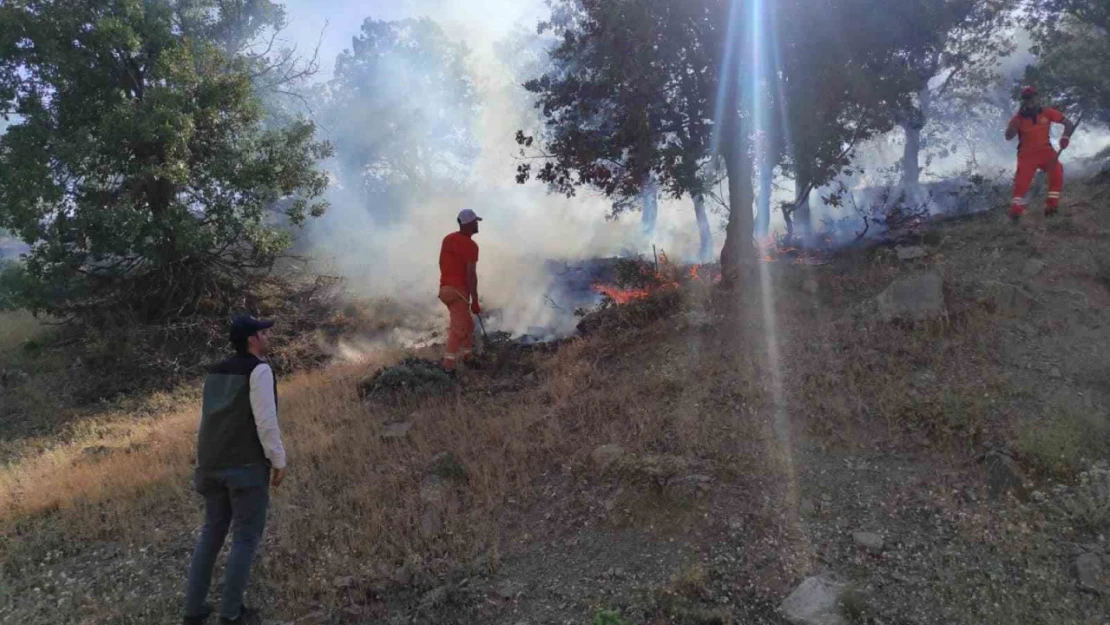 Bingöl'de iki ayrı bölgede çıkan yangınlar söndürüldü