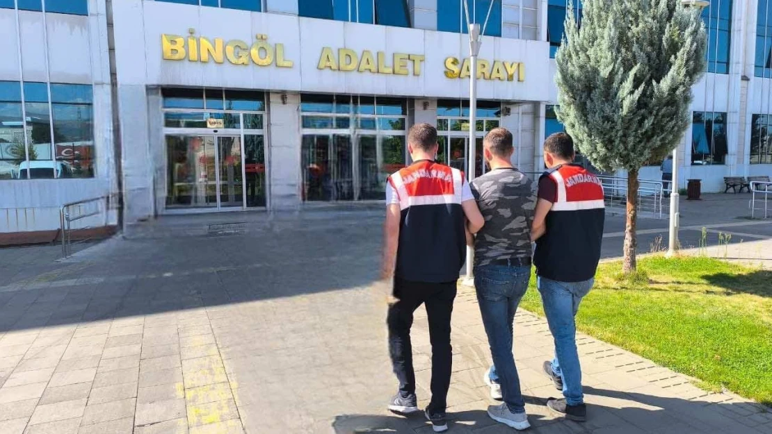 Bingöl'de kesinleşmiş hapis cezası bulunan 2 şahıs yakalandı