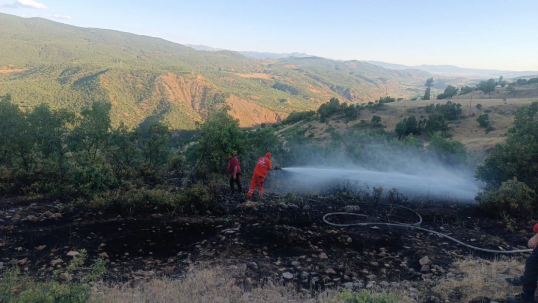 Bingöl'deki orman yangını büyümeden söndürüldü