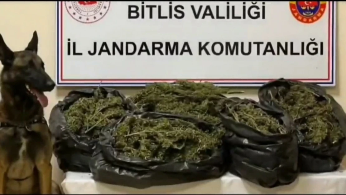 Bitlis'te 10 kilo 200 gram skunk maddesi ele geçirildi