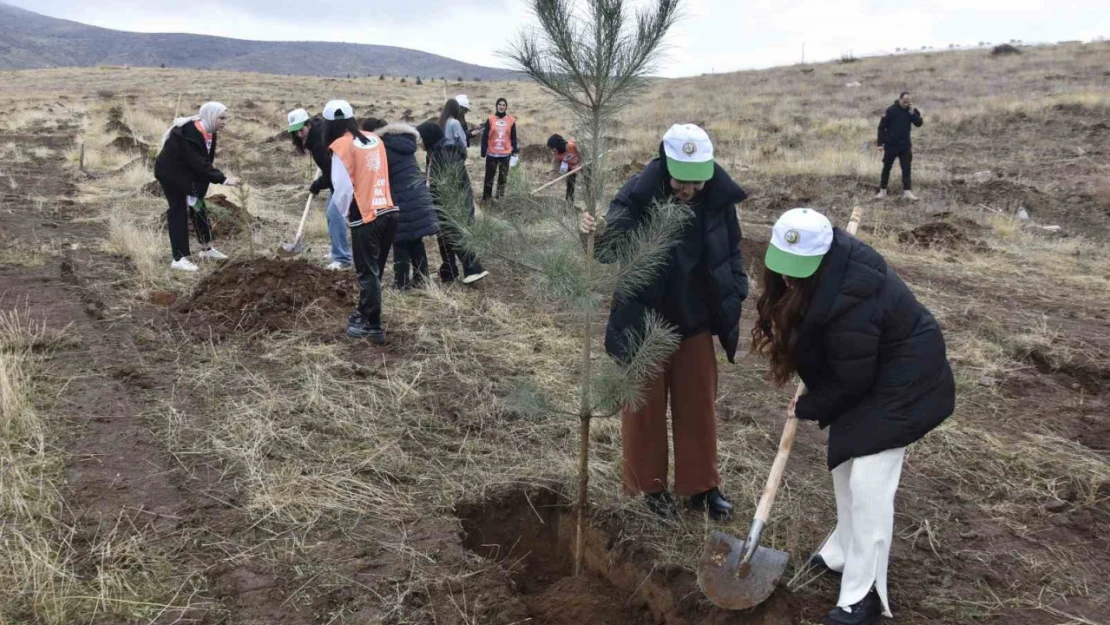 Bitlis'te bin adet fidan dikildi