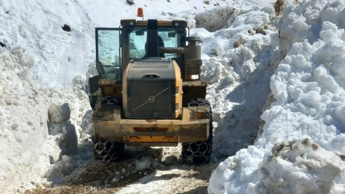 Bitlis'te bütün köy yolları açıldı