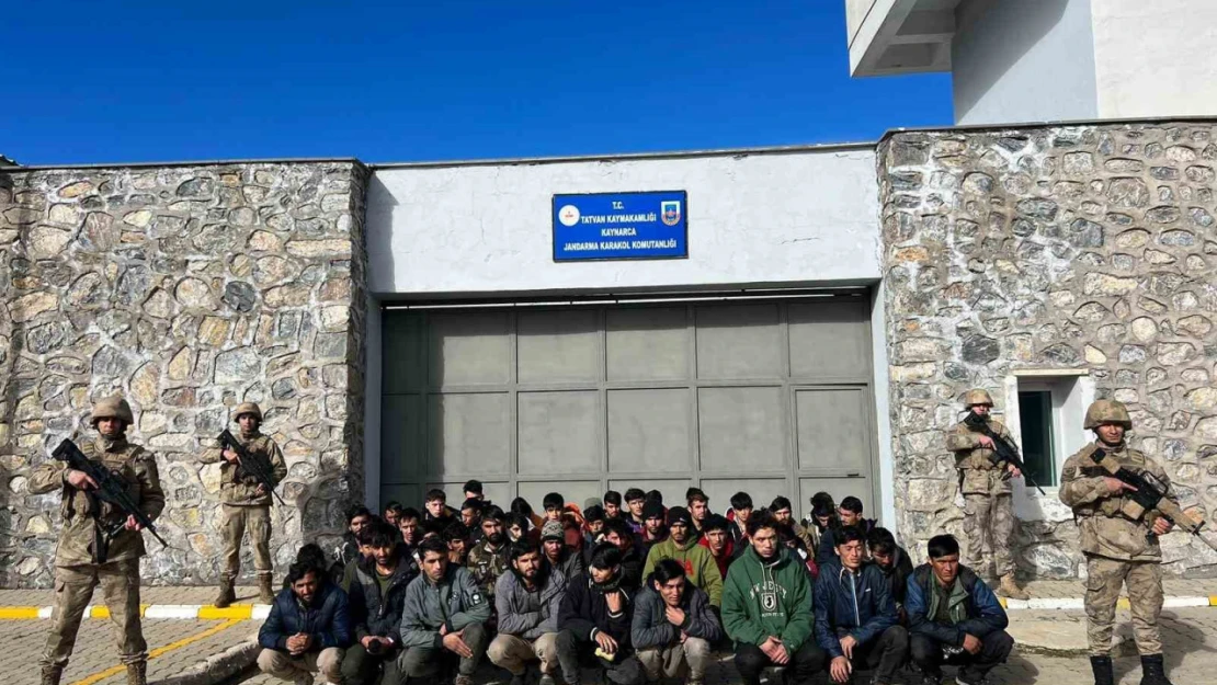 Bitlis'te göçmen kaçakçılığı operasyonları