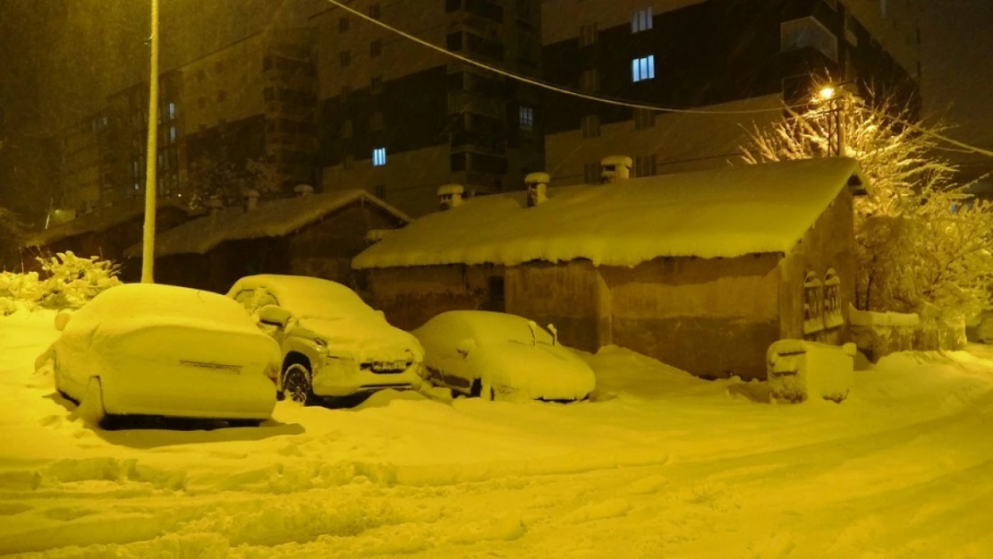 Bitlis'te kar yağışı etkisini arttırdı