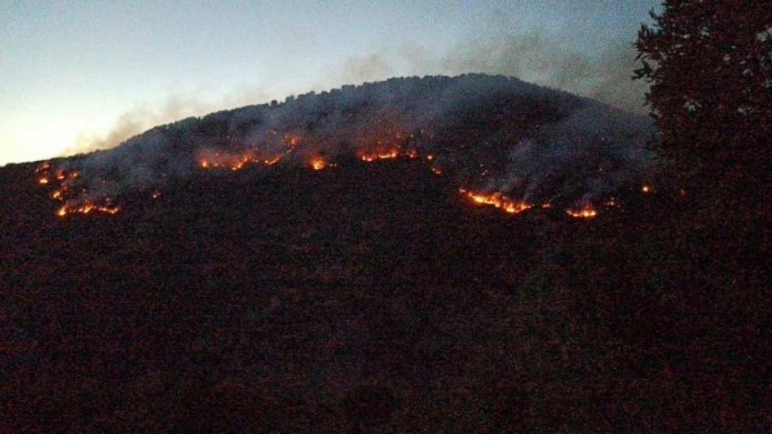 Bitlis'teki orman yangınları kontrol altına alındı