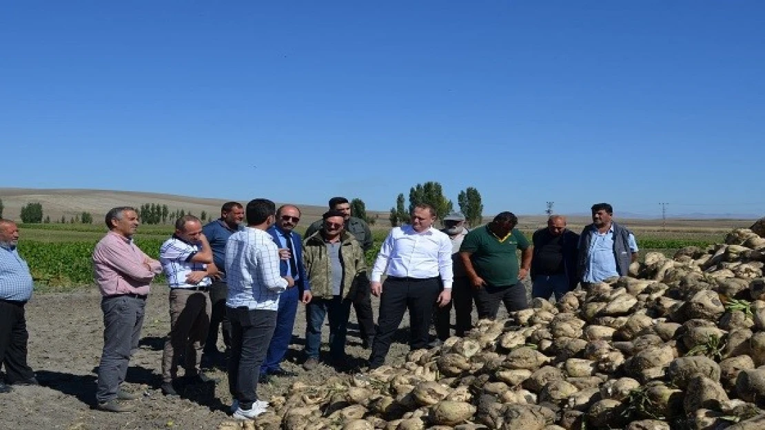 Bulanık Kaymakam Koşansu, şeker pancarı hasadı yapan çiftçileri ziyaret etti