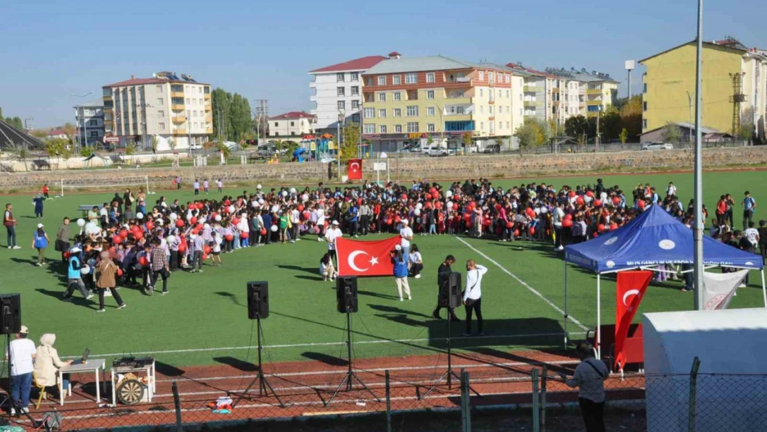 Bulanık'ta '2. Geleneksel Spor Şenliği' yapıldı