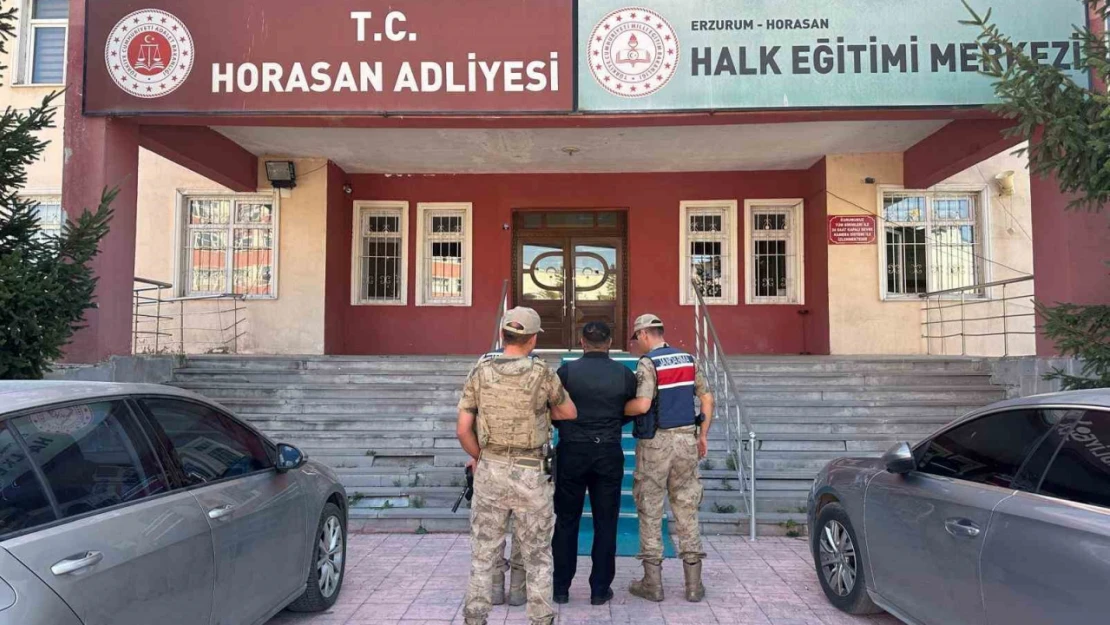 Büyükbaş hayvan hırsızları jandarmadan kaçamadı