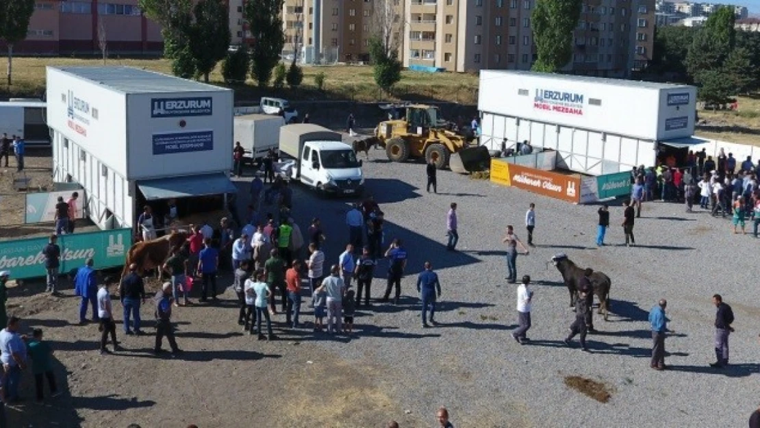 Büyükşehir kurban kesimi için hazırlıklarını tamamladı