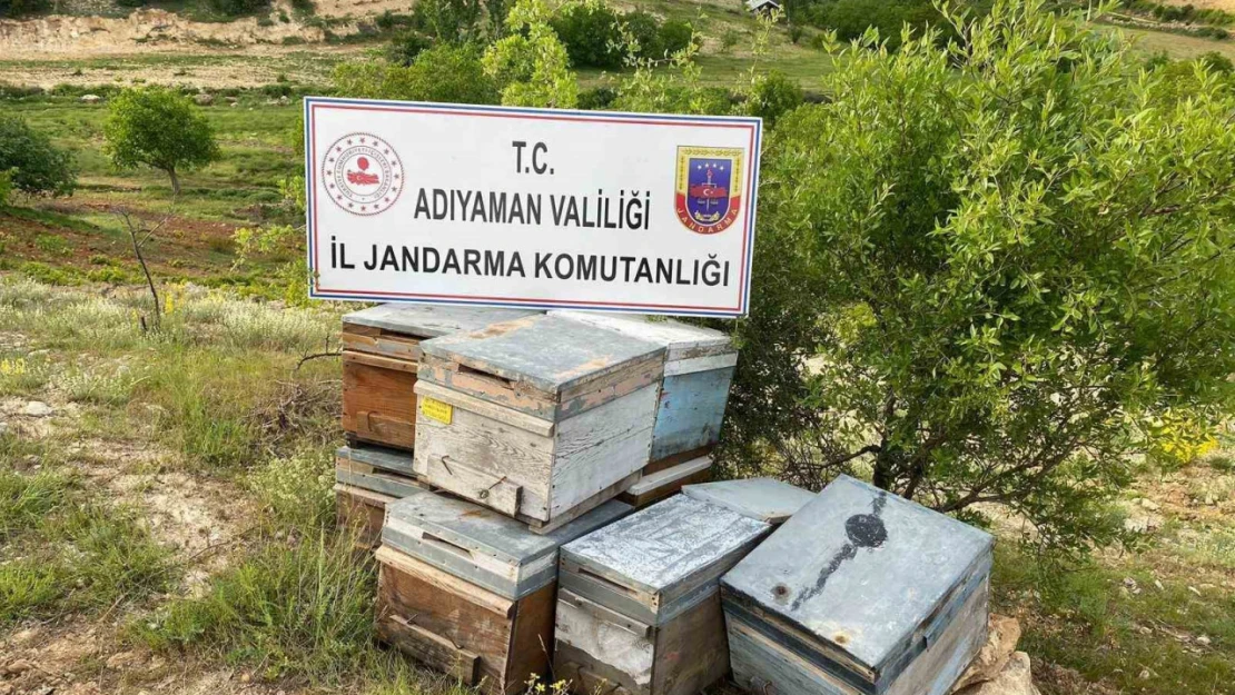 Çalınan arı kovanları jandarma tarafından bulundu