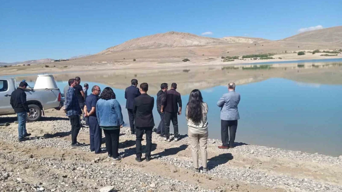 Çayırlı'da gölete yavru balık bırakıldı