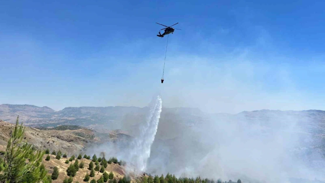 Çobanın çay ateşi ormana sıçradı