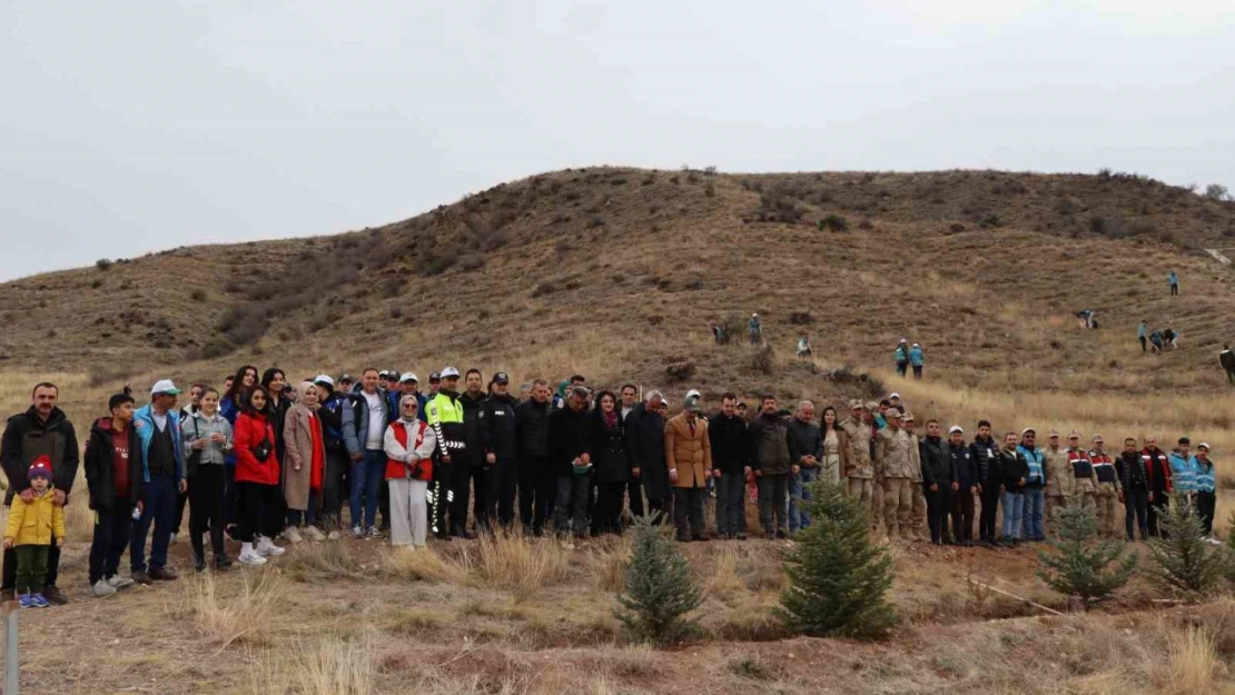 Daha yeşil bir Oltu için 2 bin fidan toprakla buluştu