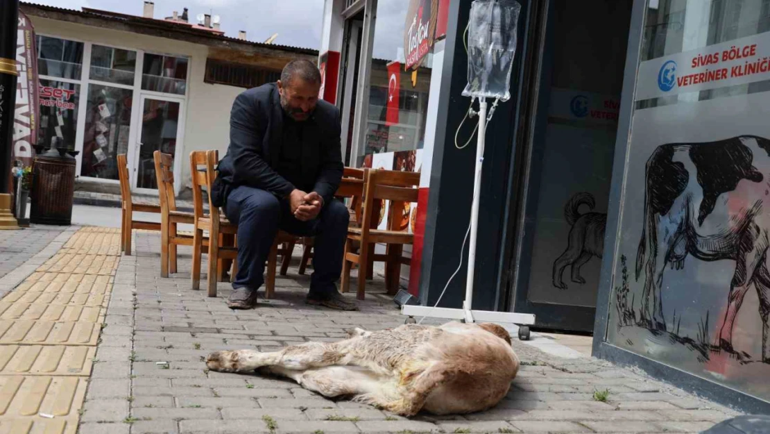 Dana Umut'un sahibinin merhameti görenlerin içini ısıttı