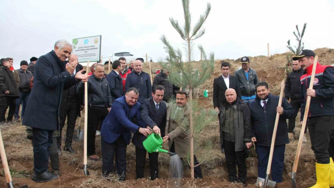 DATÜB Ahlat'ta 'Hatıra Ormanı' oluşturdu