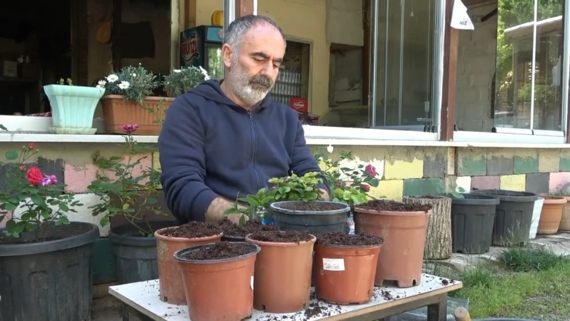 Dem atıkları çiçeklere can verdi