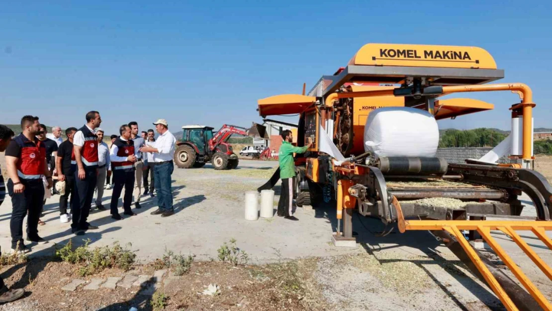 Devlet desteğiyle çiftçinin masrafı azaldı, silajlık mısır üretimi 128 bin tona ulaştı