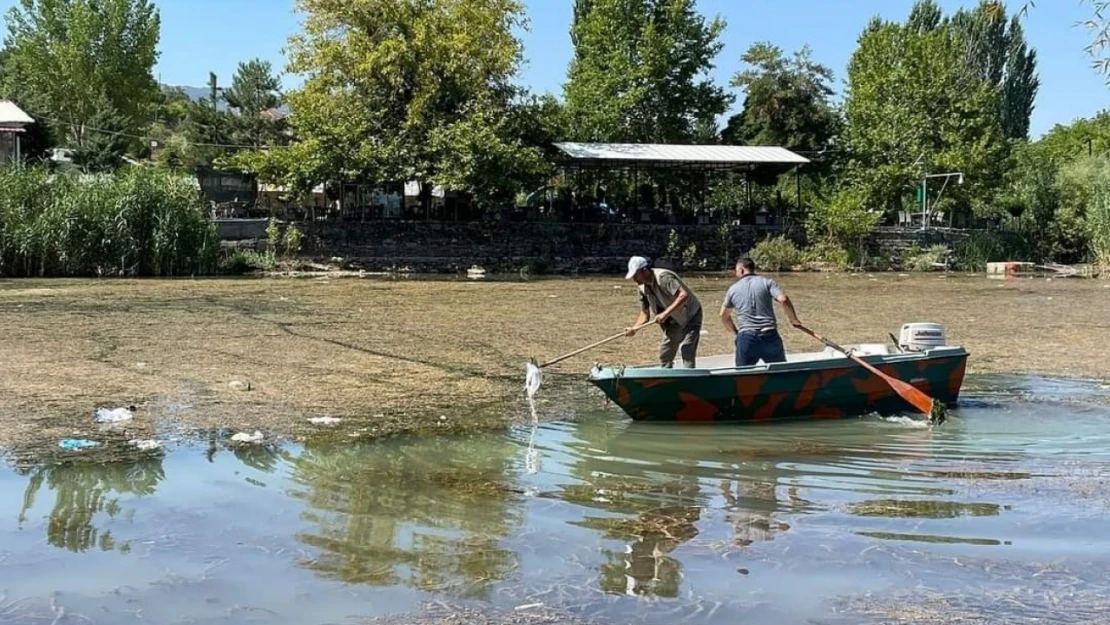 Doğa koruma ekipleri çöpleri temizliyor