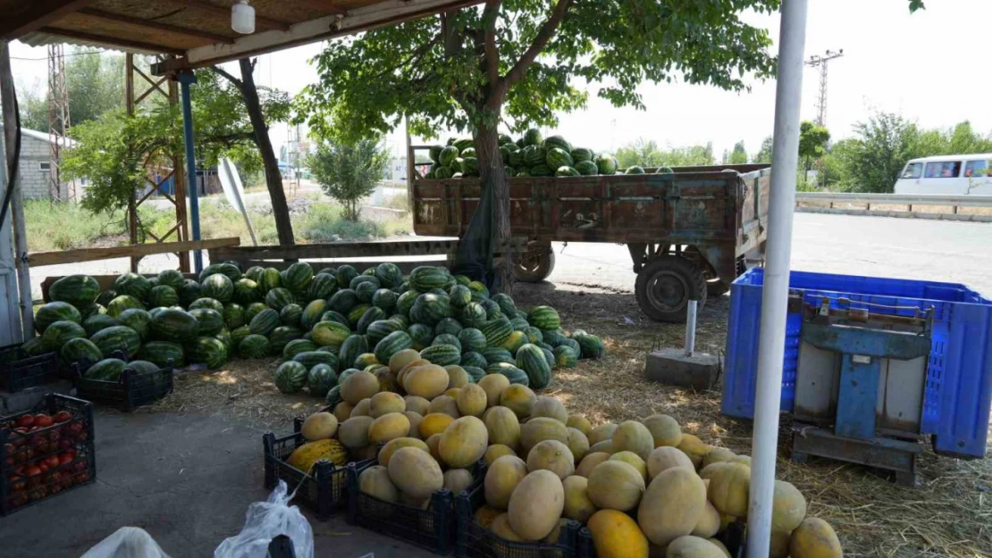 Doğu'nun Çukurova'sından çevre illere sebze ve meyve satılıyor