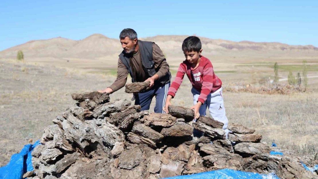 Dünyanın en çevre dostu yakacağı, kalorisi yüksek, karbonmonoksiti yok denecek kadar az