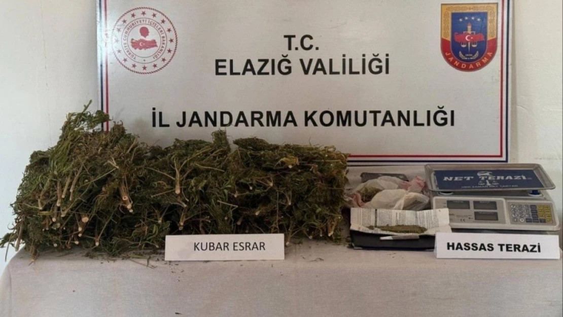 Elazığ'da evde 3 kilo 200 gram esrar ele geçirildi: 1 gözaltı