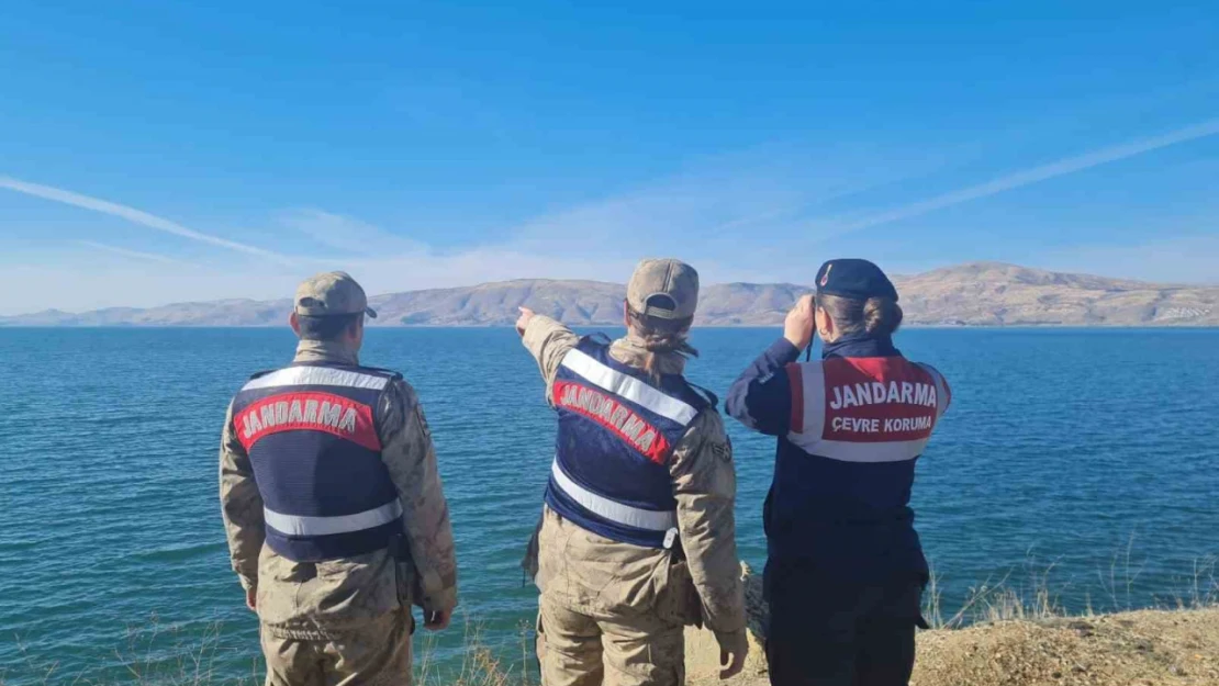 Elazığ'da ot yangınını jandarma ekipleri söndürdü