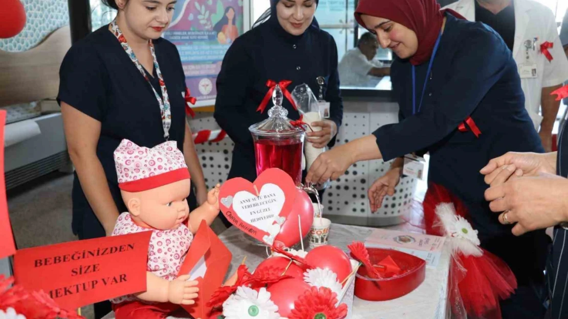 Emzirmenin önemi anlatıldı